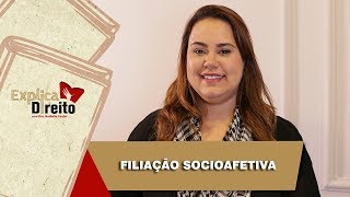 Explica Direito Filiação Socioafetiva  2019 [upl. by Eolanda513]