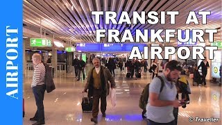 TRANSIT WALK AT FRANKFURT Airport FRA Terminal 1  Connection Flight Transfer Arriving amp Departing [upl. by Ahsiam286]